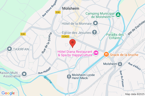 Hickel Maurice Medecin