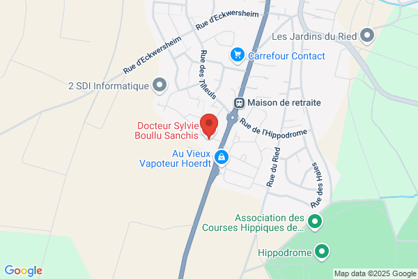 Boullu Sanchis Sylvie Medecin