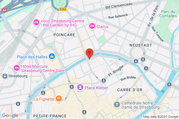 De Maistre Riot Caroll Psychanalyste