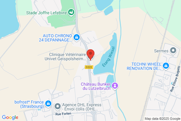 Clinique Veterinaire Des Tanneries