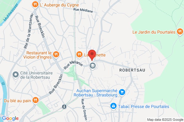 Clinique Veterinaire Des Vosges