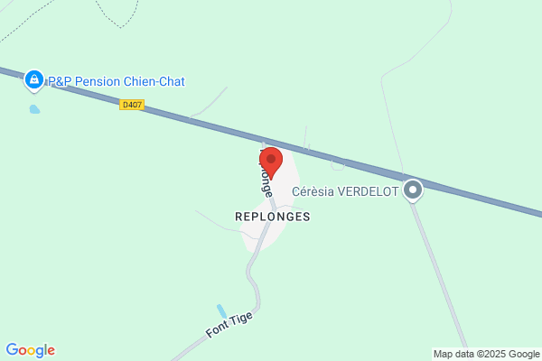 Cartonnages d'Alfort