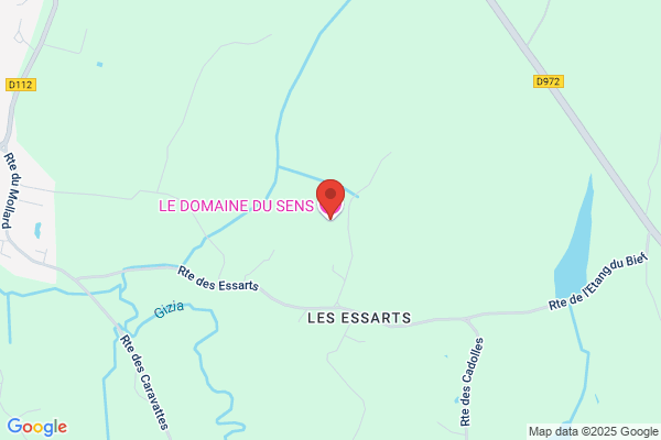 Le domaine du sens