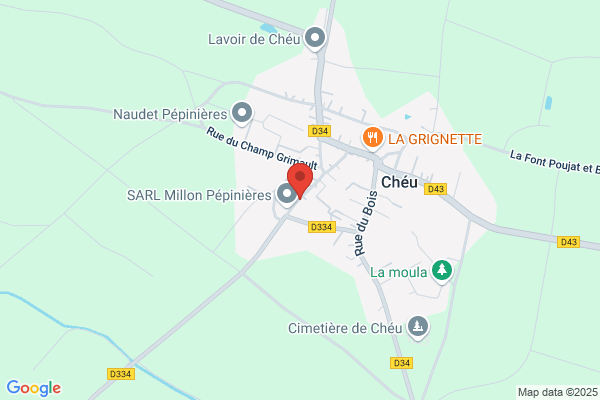 FROID SERVICE