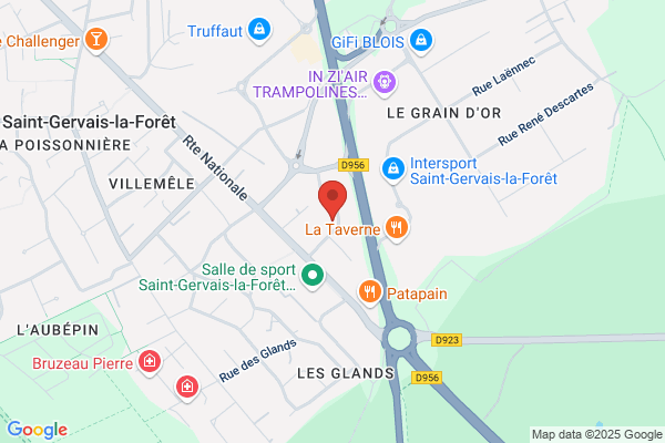 Rapid Pare-Brise BLOIS