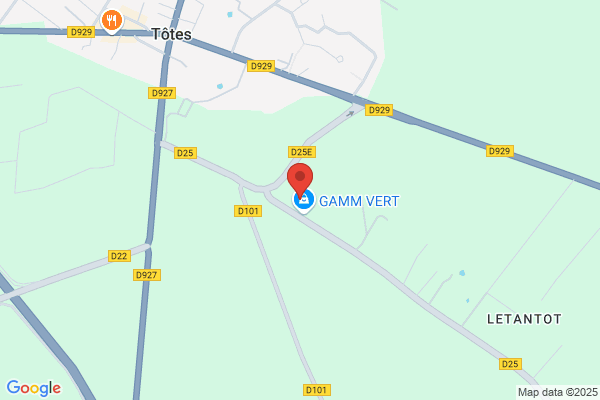 Gamm vert