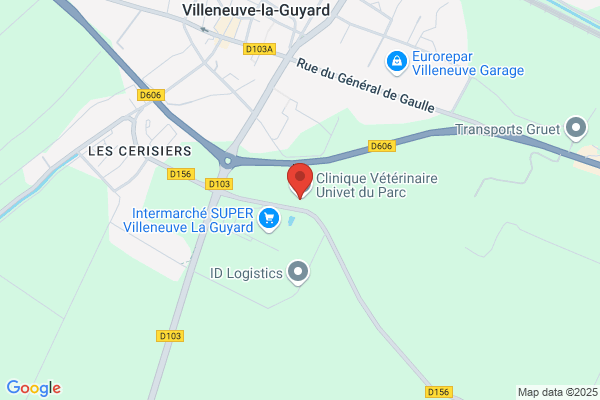 AS Autosécurité Contrôle Technique VILLENEUVE LA GUYARD