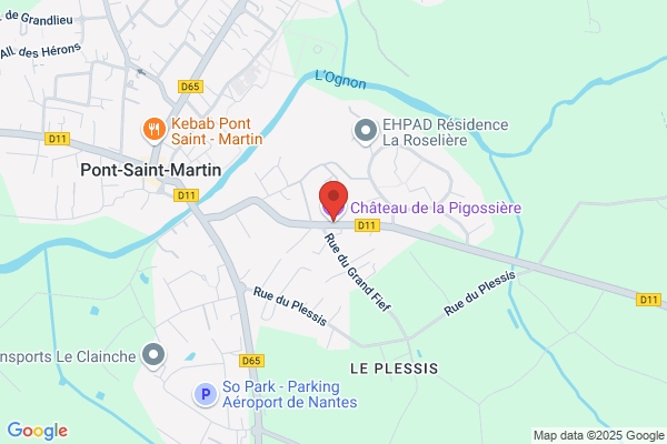 Chateau De La Pigossiere