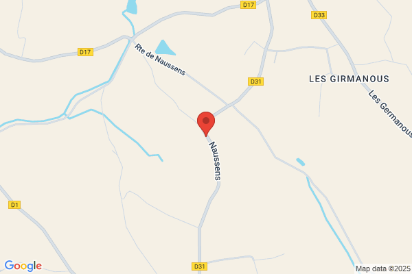Bourelly Jean Luc
