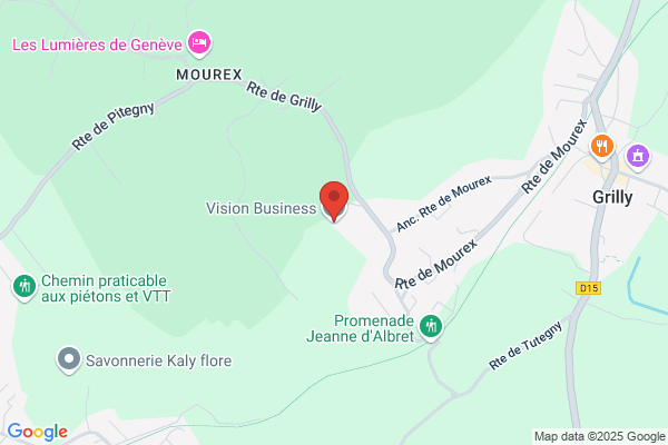 B S Vision Comite D Entreprise