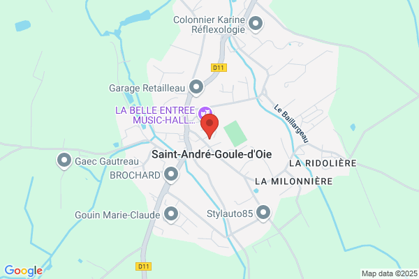 MAIRIE DE ST ANDRE GOULE D'OIE
