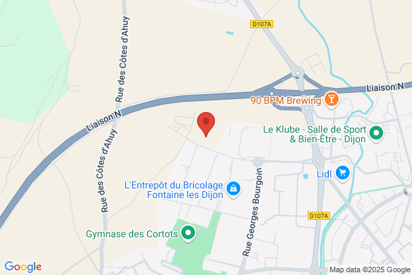 Carte Performance