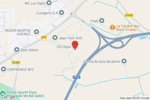 Cis Connecting Informatique Service