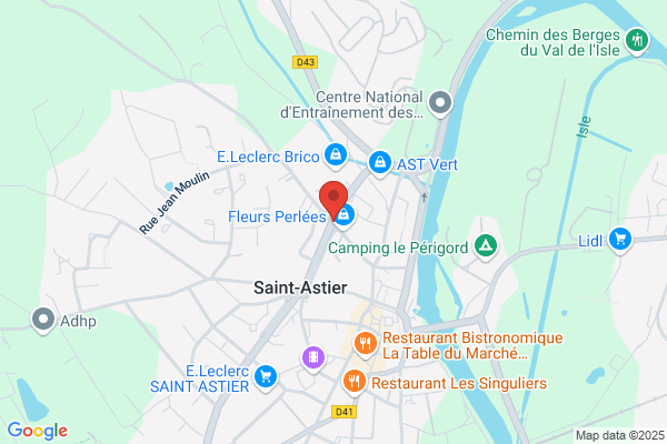 NGSC FRANCE TELETRAVAIL