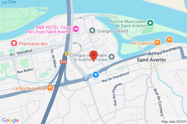 Comite Liaison Coordination Services Sociaux D Indre et Loir