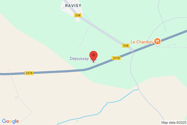 DEPUSSAY