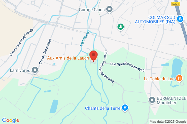 Aux Amis De La Bd