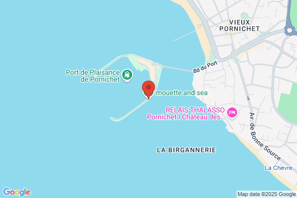 mouette and sea