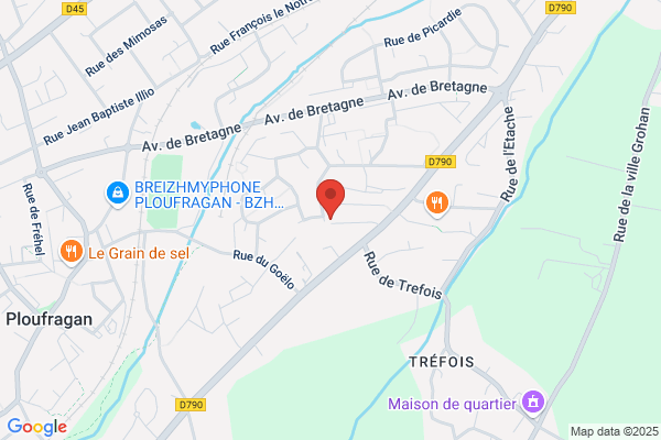 Bouchaud Irene