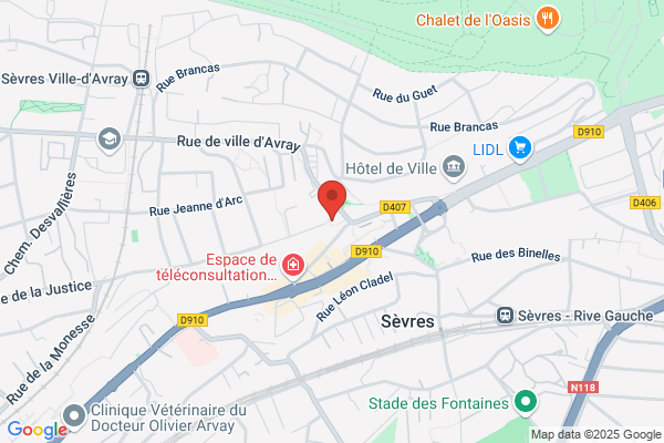 Association Sevres Jeunes
