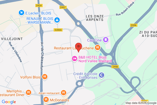 CONSEIL NATIONAL PROFESSIONS AUTOMOBILE