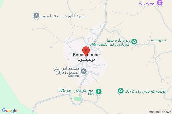 Boulflou Ahcene