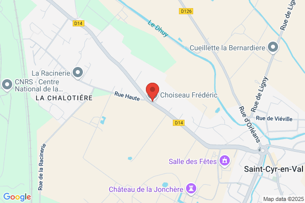 Choiseau Frederic