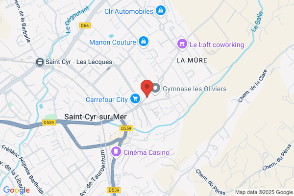 le salon ylv