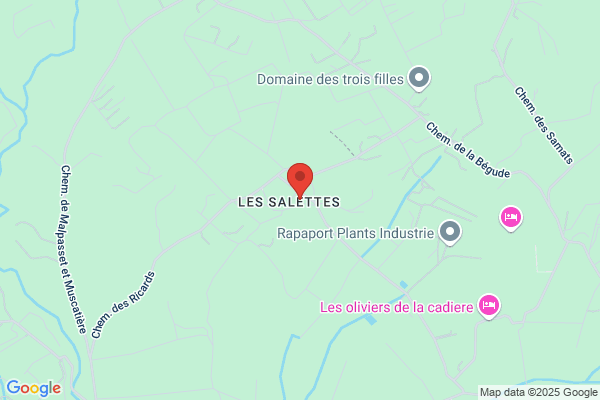 Chateau Salettes