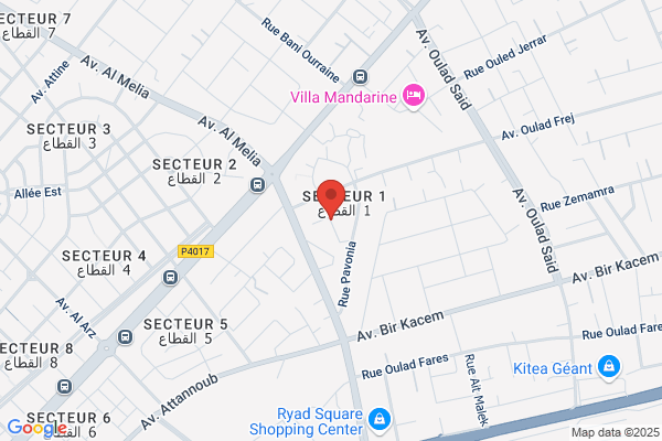 Comite De La Maison De Quartier Du Maroc