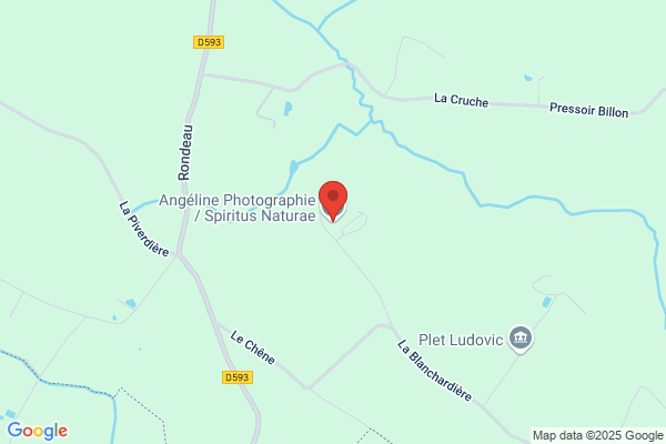 Spiritus Naturae