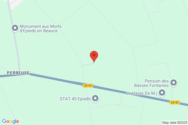 Au Lingot D Or