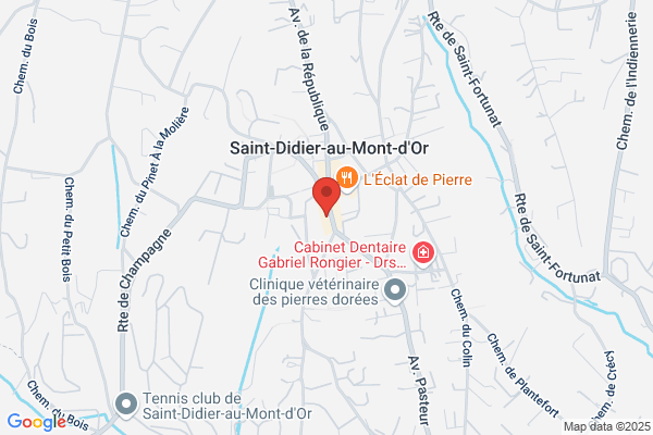 Immobiliere De L Ouest Lyonnais