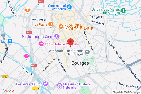 Boutique Salamander
