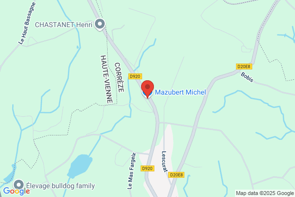 Dumazert Michel