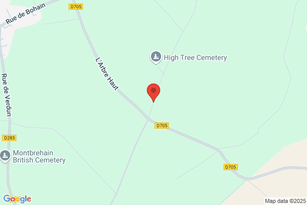 Arbre Haut Clean