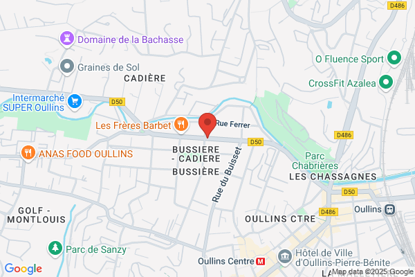 Samsic Emploi Lyon 6 - Oullins