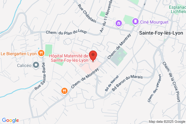Hopital De Sainte Foy Les Lyon