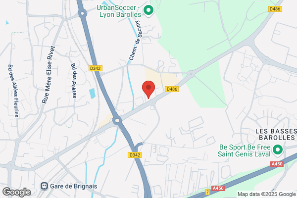 Best Western Hotel des Barolles - Lyon Sud