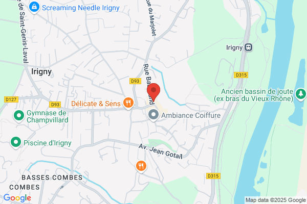 Delmaire Patrick Medecin