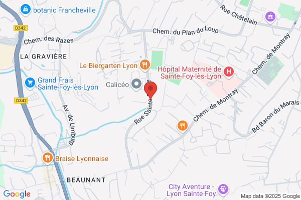 LES MENUS SERVICES LYON-OUEST