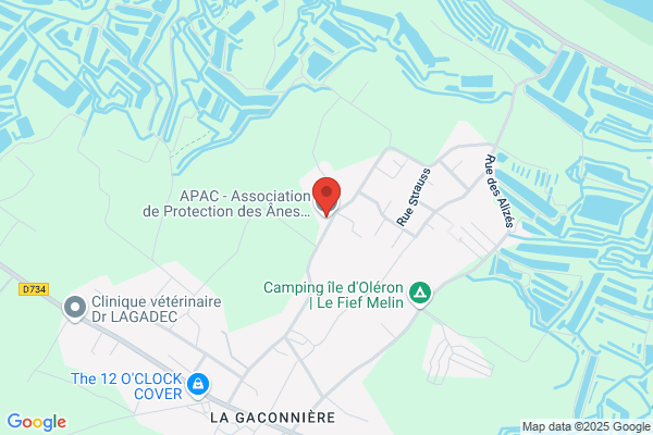 Apas Association Pour L Action Sociale De La charente maritime
