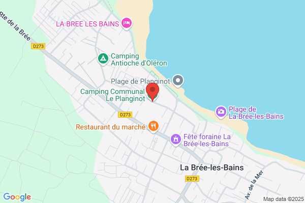 Camping Communal Le Planginot