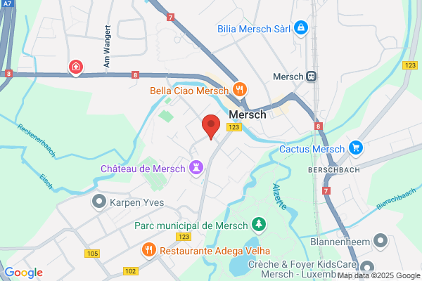 Douanes Recette Locale