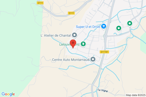 Desmullier Hugues Consultant
