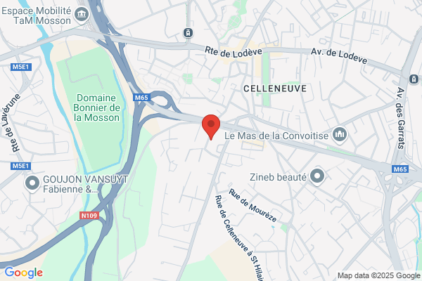 NEGUINE TRAITEUR