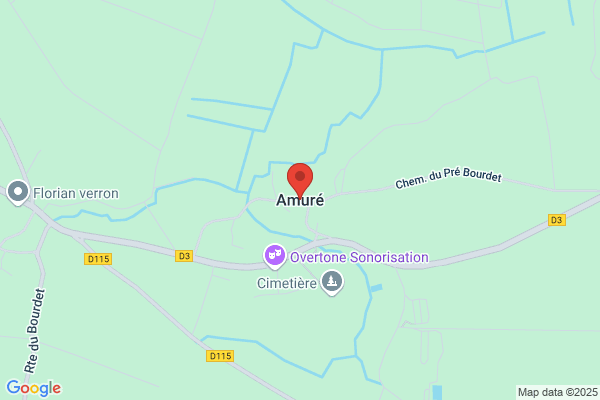 Amur