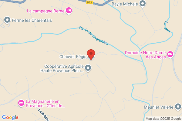 Chouvet Regis
