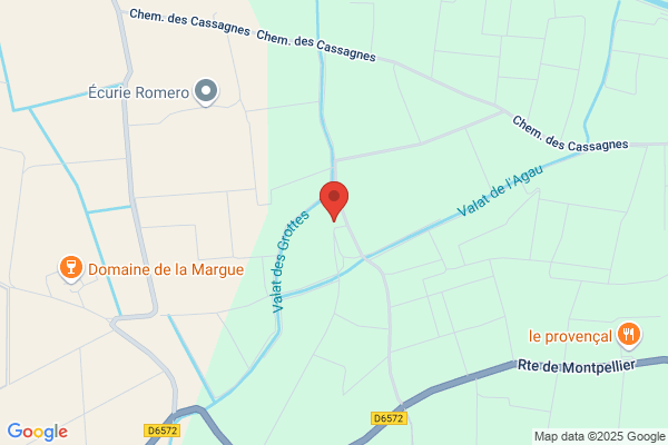 Domaine De La Moutonne
