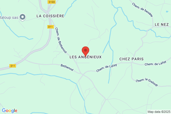Angenieux Sa Accueil Telephonique